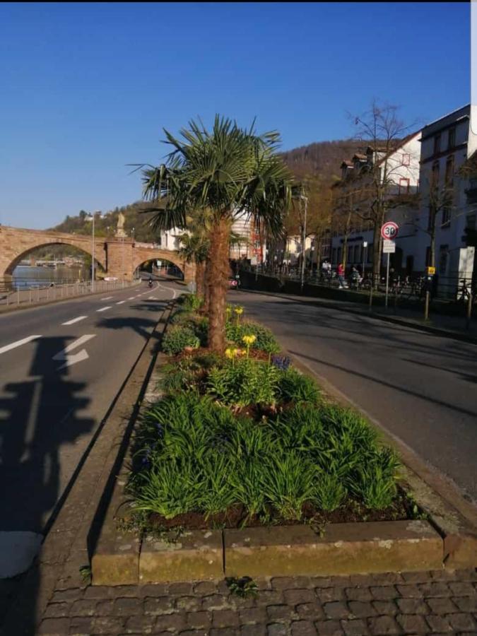 Ferienwohnung Tinas Beauty Neckarsteinach Extérieur photo