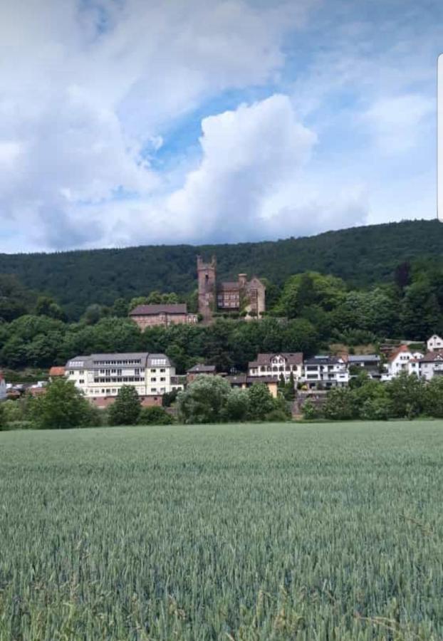 Ferienwohnung Tinas Beauty Neckarsteinach Extérieur photo