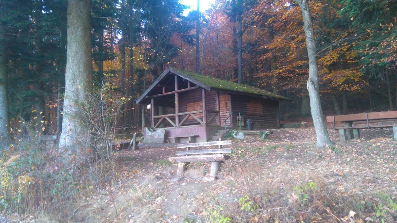 Ferienwohnung Tinas Beauty Neckarsteinach Extérieur photo