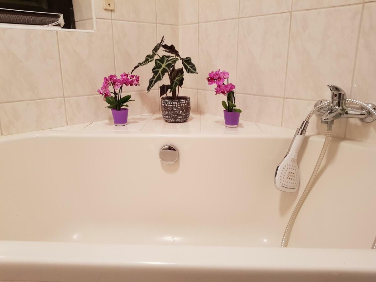 Ferienwohnung Tinas Beauty Neckarsteinach Extérieur photo
