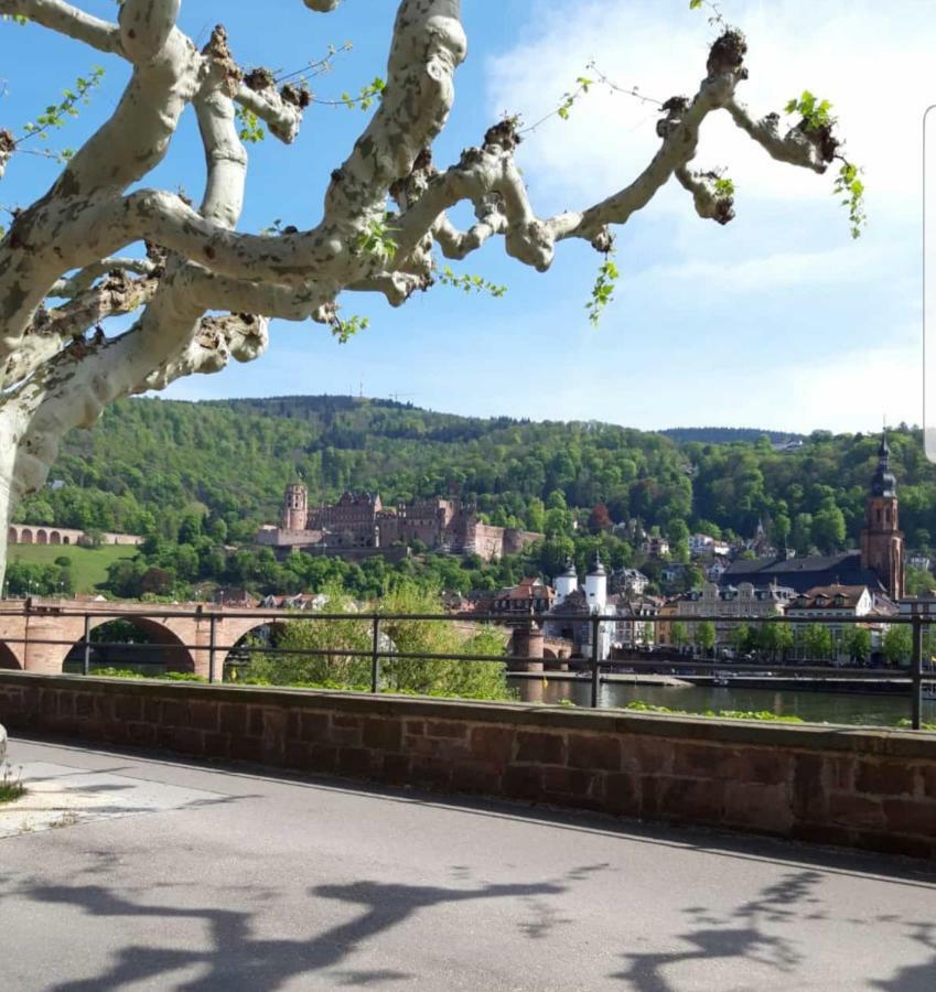Ferienwohnung Tinas Beauty Neckarsteinach Extérieur photo